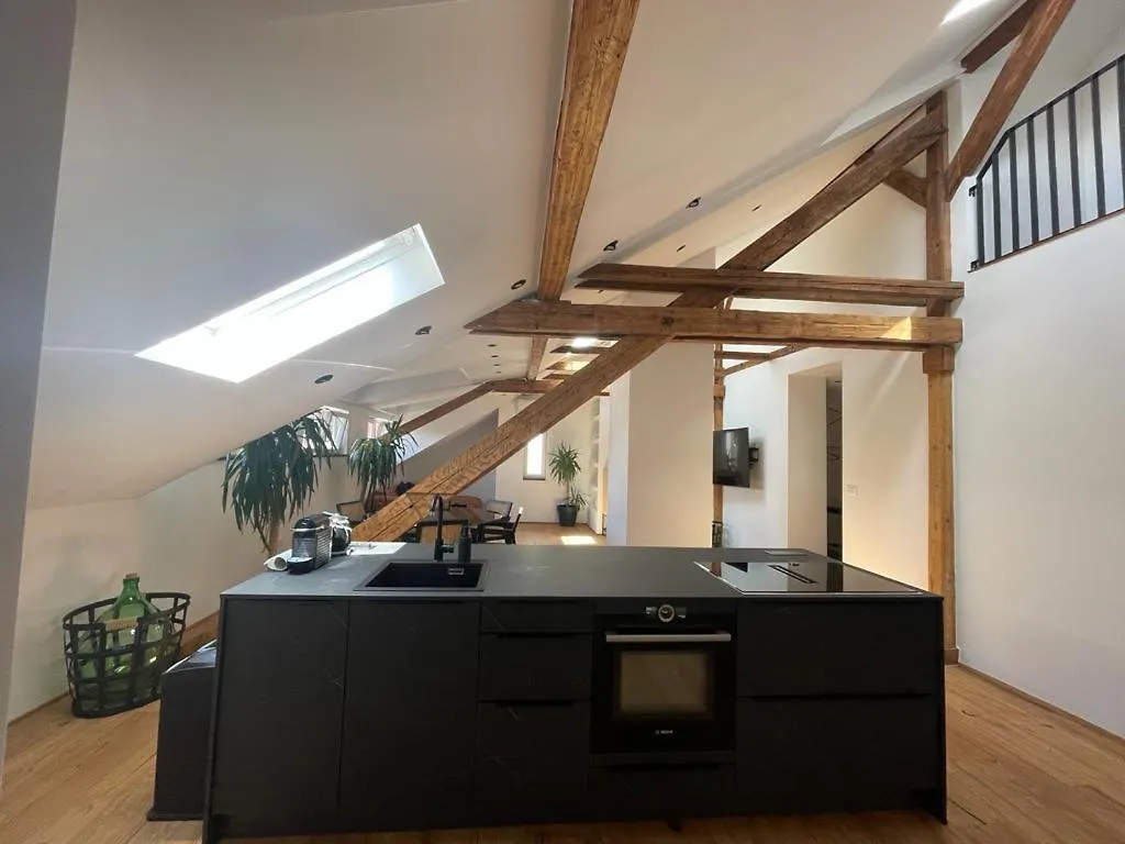 Split Rooftop Loft Apartment