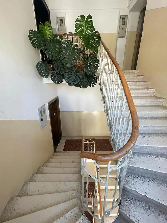 Split Rooftop Loft Apartment