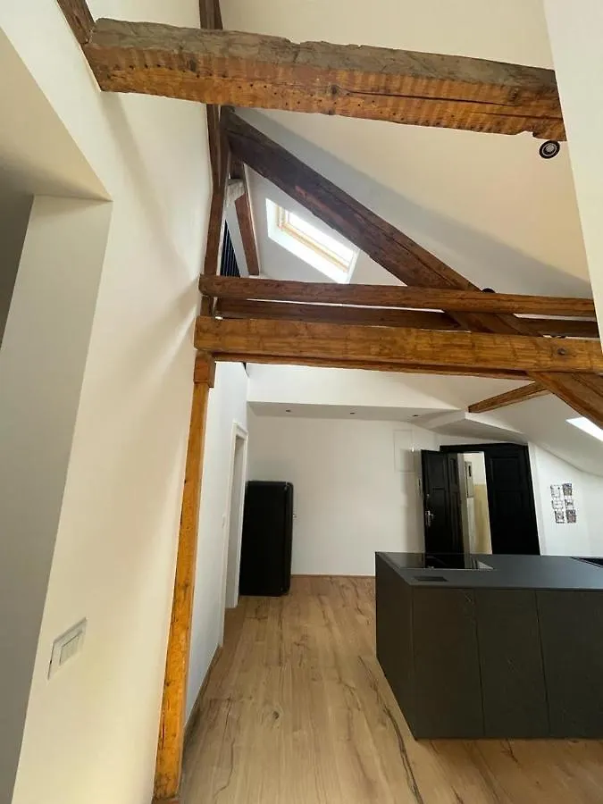 Split Rooftop Loft Apartment