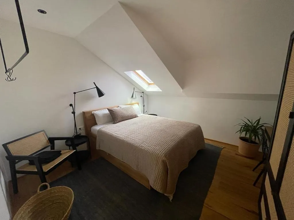 Split Rooftop Loft Apartment